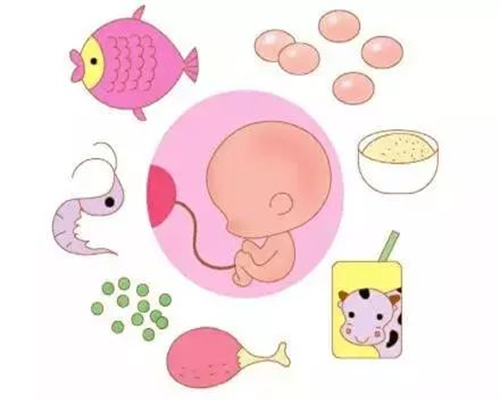 南昌残角子宫供卵试管助孕指南:除了指定医院,还有哪些辅助生殖中心可供选择?