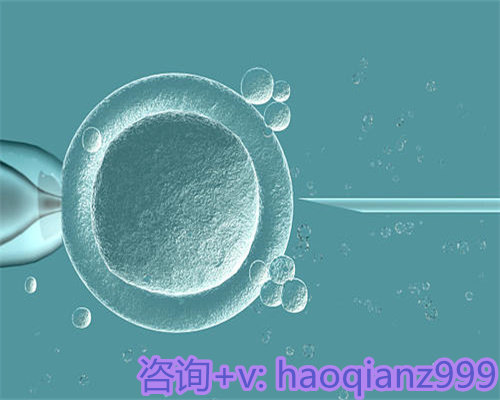 捐卵借卵试管婴儿:圆梦助孕的真实经历与医院选择指南