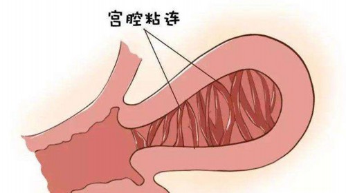 江西试管助孕指南：优选供卵医院，探究借卵费用，圆您生育梦