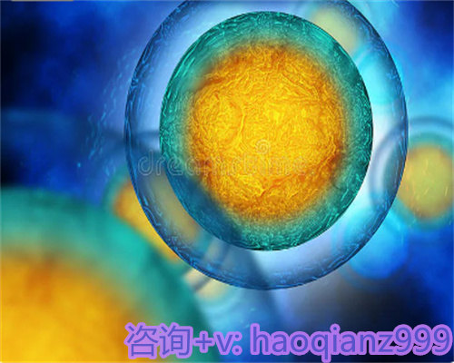 试管移植是3天胚胎还是5天囊?试管供卵试管帮助实现梦想
