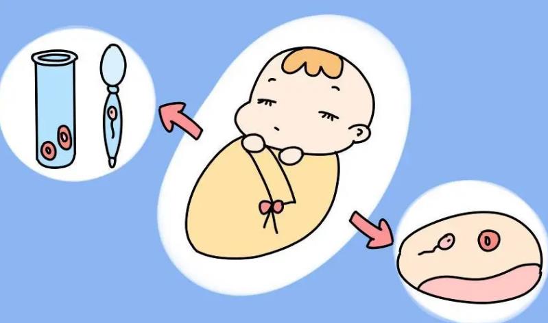 探秘私立试管机构：专业助孕与个性化选择