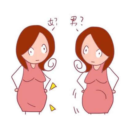 辅助生殖技术探析：卵子捐献、试管助孕与生育选择
