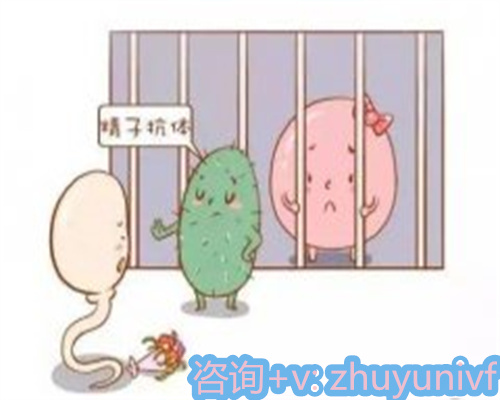 南昌辅助生殖服务：试管助孕技术、流程与费用全解析